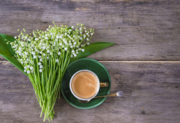Hétindító - 18. hét - Bérszámfejtés és helyi iparűzési adó - Suller Kriszta