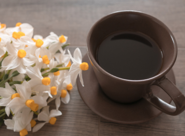 Hétindító - 11. hét - Járulék-, áfa, szja bevallás és kamarai díj fizetés - Suller Kriszta