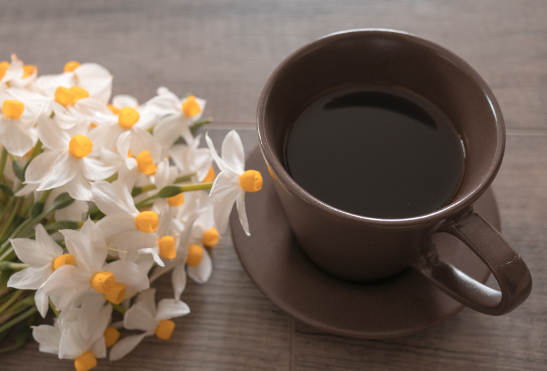 Hétindító - 11. hét - Járulék-, áfa, szja bevallás és kamarai díj fizetés - Suller Kriszta