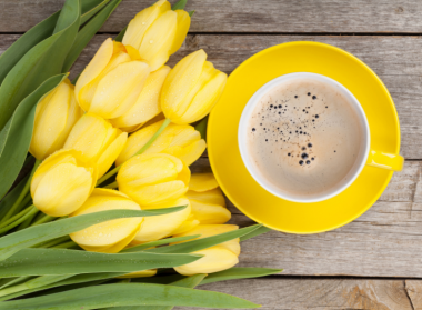 Hétindító 12. hét – Helyi adók, áfa és beszámoló – Suller Kriszta