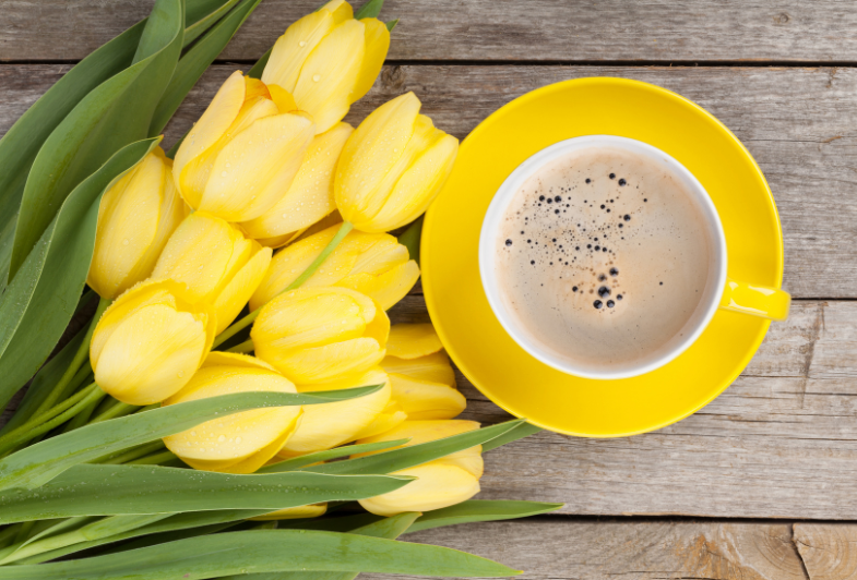 Hétindító 12. hét – Helyi adók, áfa és beszámoló – Suller Kriszta